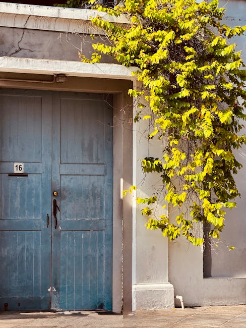 Custom Software Development